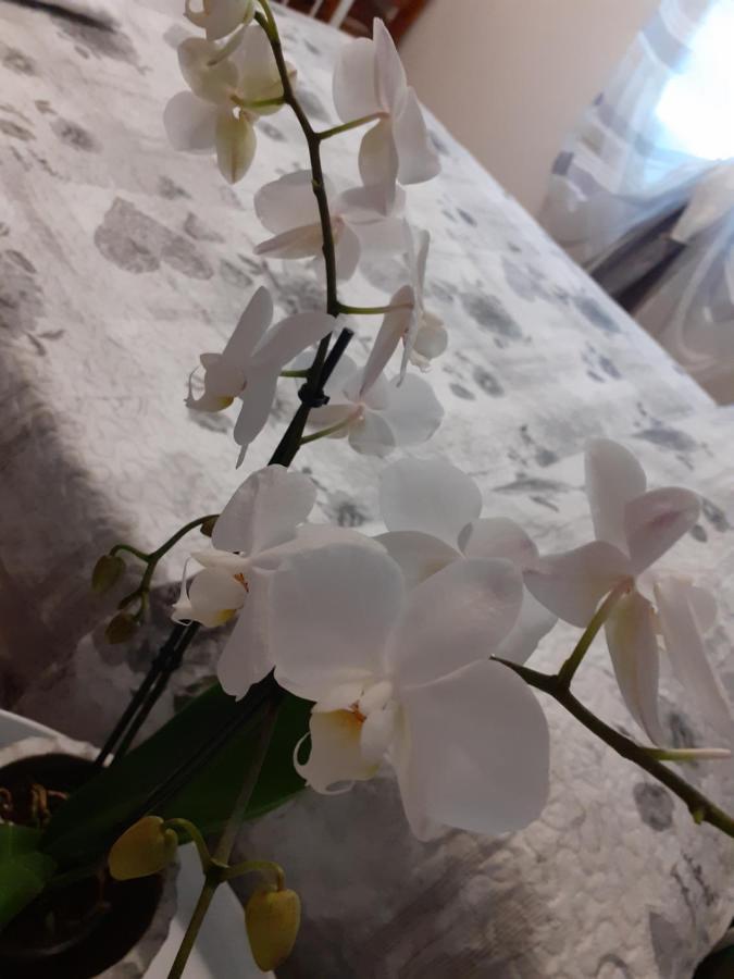 B&B Alla Bon'Ora Volpago del Montello Экстерьер фото